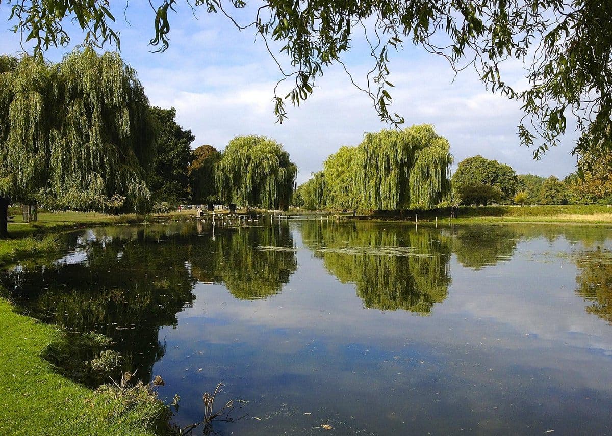 לוגו האירוע