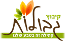 לוגו האירוע
